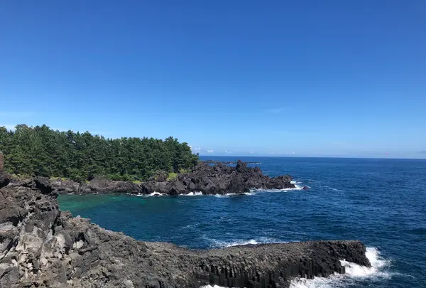 大浦柱状節理帯の写真・動画_image_502944