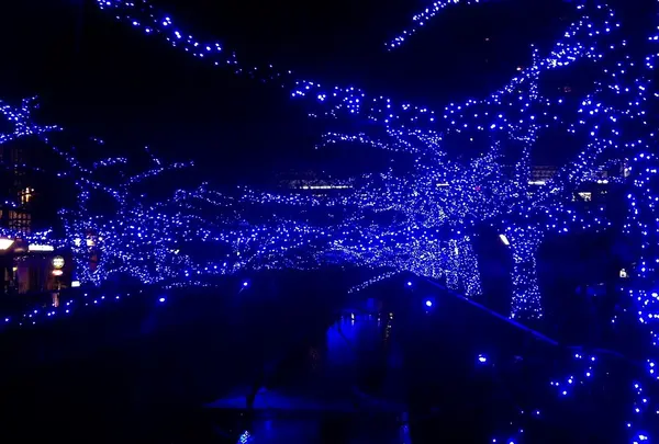 川沿いの夜景