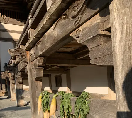 正蓮寺の写真・動画_image_503028
