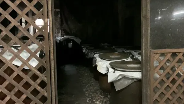 崎山酒造廠の写真・動画_image_503113