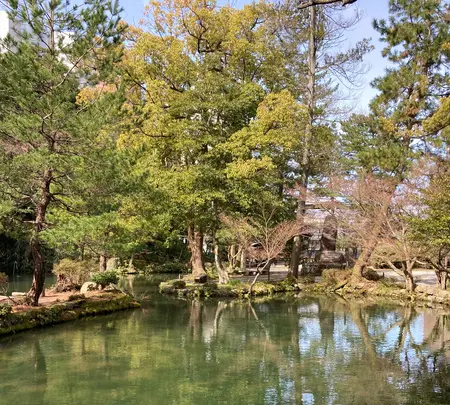 玉泉院丸庭園の写真・動画_image_503228