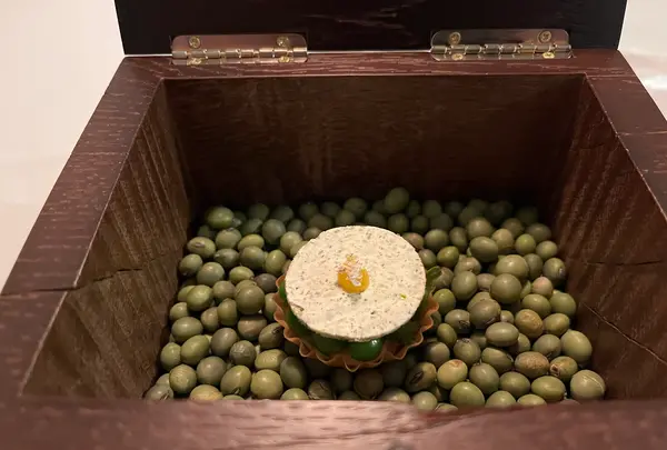 Installation Table ENSO L'asymetrie du calmeの写真・動画_image_503257