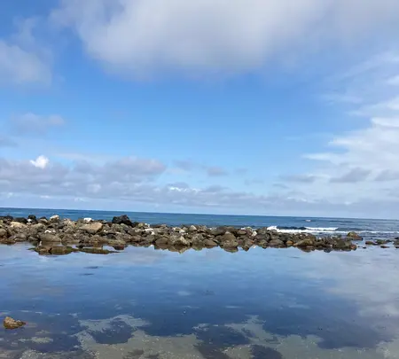 国定公園 雨晴海岸の写真・動画_image_503260