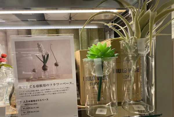 KEYUCA（ケユカ）横浜ジョイナス店の写真・動画_image_503340
