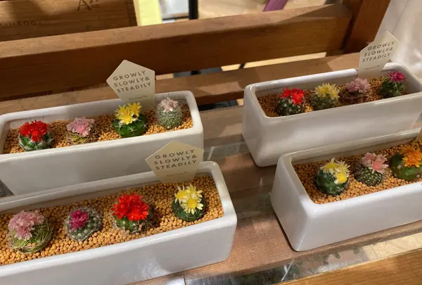 Francfranc 横浜ジョイナス店の写真・動画_image_503353