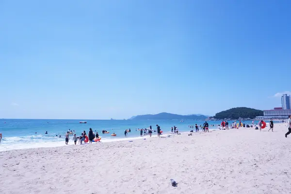 海雲台/ヘウンデ/해운대の写真・動画_image_503573