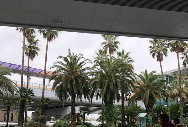 済州国際空港/チェジュクッチェコンハン/Jeju International Airport/제주국제공항の写真・動画_image_503579
