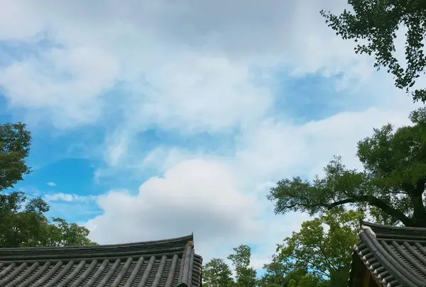 全州韓屋マウル（Jeonju Hanok Village）の写真・動画_image_503599