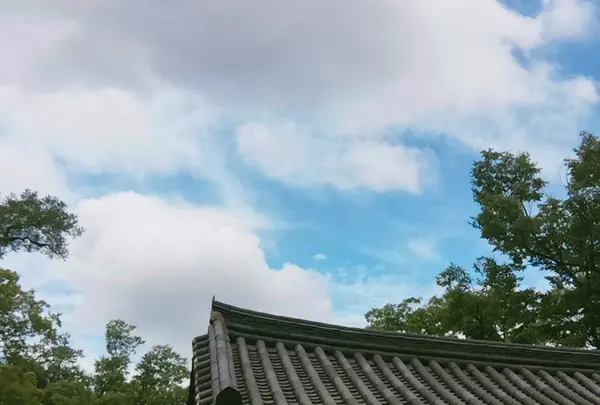 全州韓屋マウル（Jeonju Hanok Village）の写真・動画_image_503600