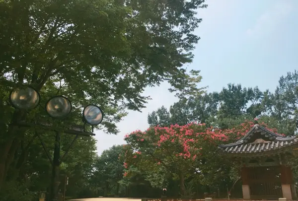 오목대이목대の写真・動画_image_503603