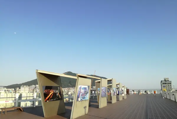 ロッテ百貨店　光復店の写真・動画_image_503612