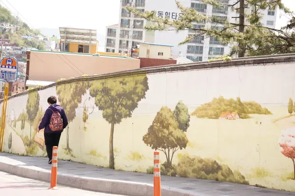 甘川洞文化村/カムチョンドンムナマウル/Gamcheon Culture Village/감천동문화마을の写真・動画_image_503690