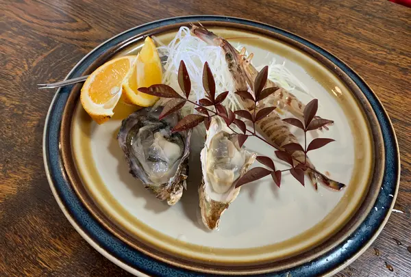 漁火の写真・動画_image_504982