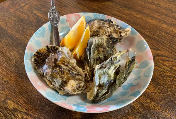 漁火の写真・動画_image_504983