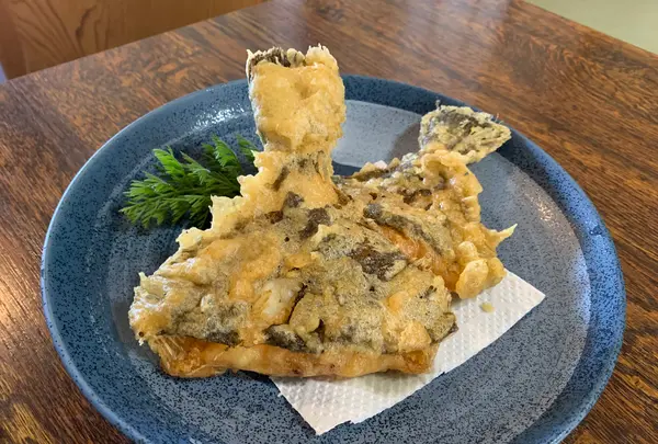 漁火の写真・動画_image_504984