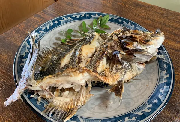 漁火の写真・動画_image_504986