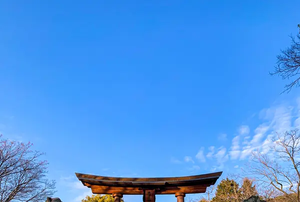 饒津神社の写真・動画_image_505000