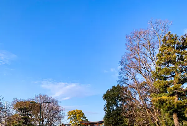 饒津神社の写真・動画_image_505006