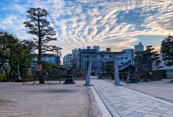 鶴羽根神社の写真・動画_image_505012