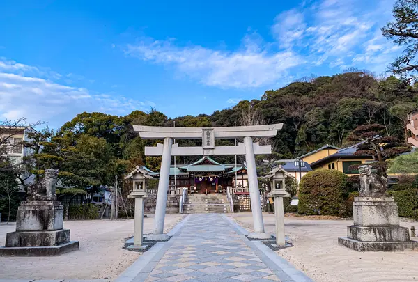鶴羽根神社の写真・動画_image_505013