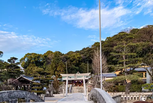 鶴羽根神社の写真・動画_image_505018