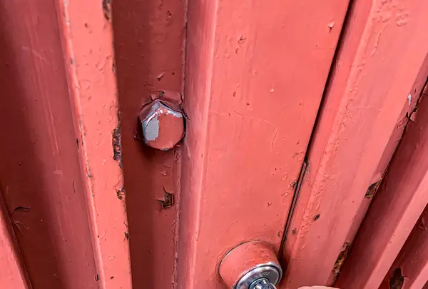 才蔵寺の写真・動画_image_505028