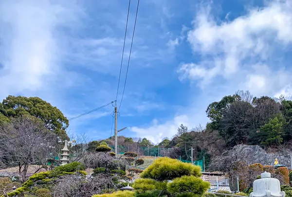 聖光寺の写真・動画_image_505045