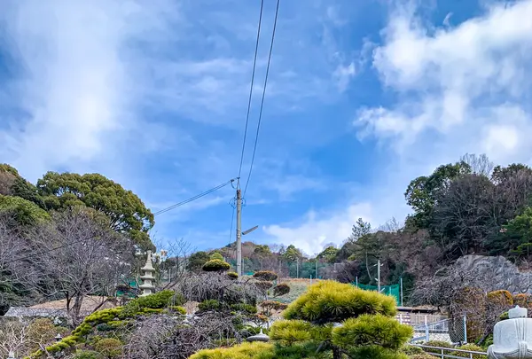 聖光寺の写真・動画_image_505047