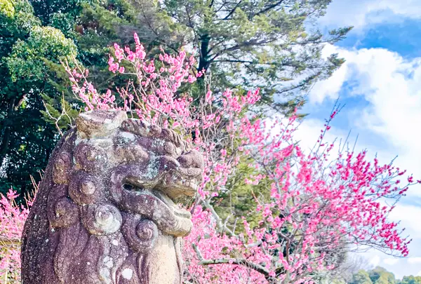 尾長天満宮の写真・動画_image_505055