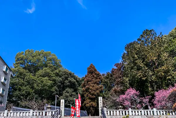 尾長天満宮の写真・動画_image_505057