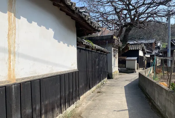 真鍋島の写真・動画_image_505227