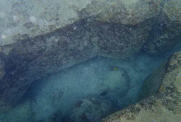 ナンタ浜の写真・動画_image_505542