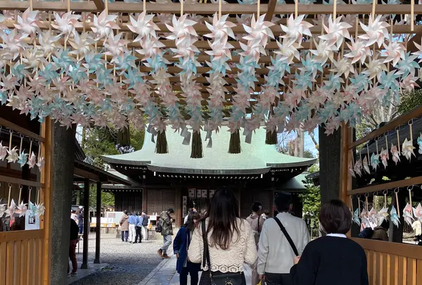 川越氷川神社の写真・動画_image_505740