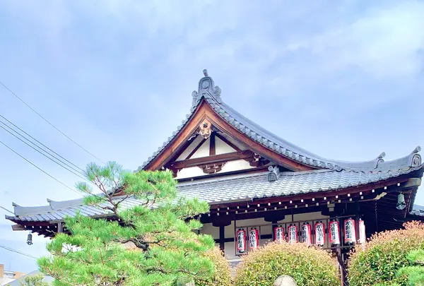 明星院の写真・動画_image_505791