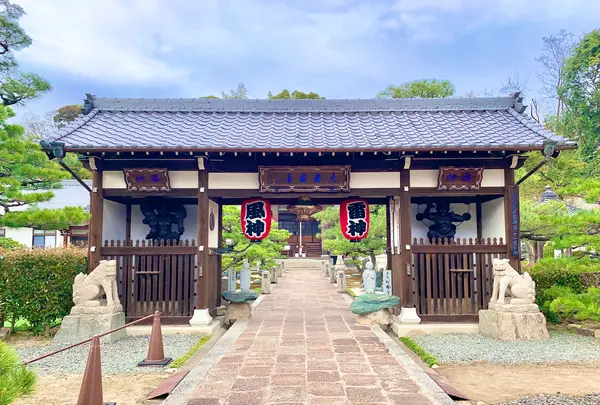 明星院の写真・動画_image_505793