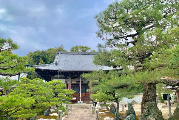 明星院の写真・動画_image_505794