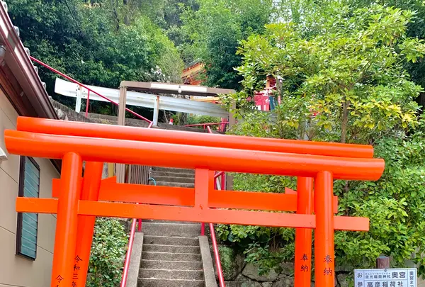 金光稲荷神社の写真・動画_image_505799