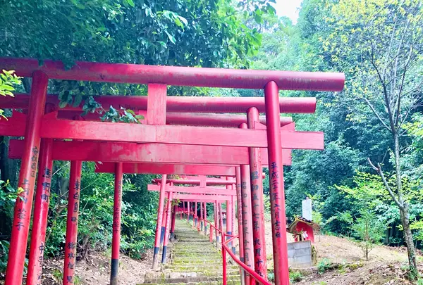 金光稲荷神社の写真・動画_image_505802