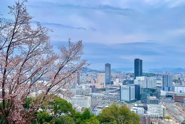 金光稲荷神社の写真・動画_image_505803