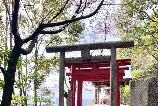 金光稲荷神社の写真・動画_image_505805