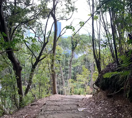 金光稲荷神社の写真・動画_image_505806