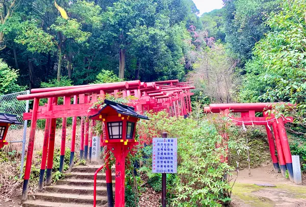 金光稲荷神社の写真・動画_image_505807