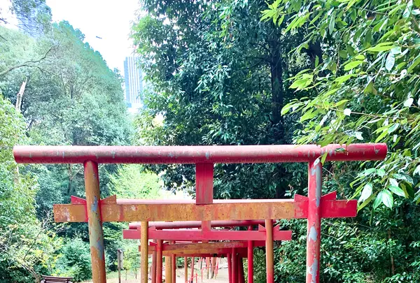 金光稲荷神社の写真・動画_image_505814