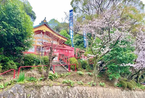 金光稲荷神社の写真・動画_image_505815