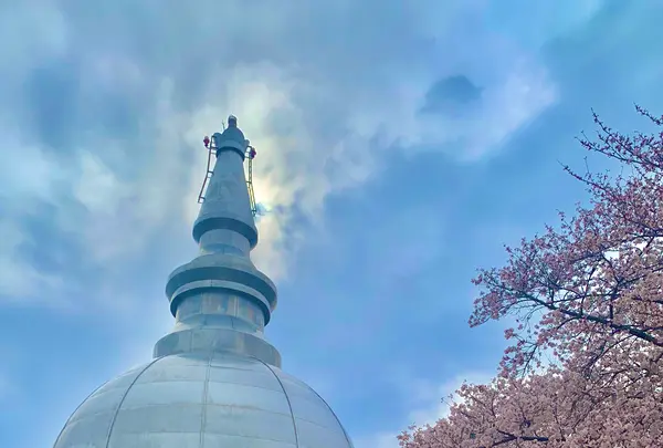 二葉山平和塔の写真・動画_image_505816