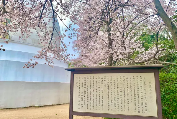 二葉山平和塔の写真・動画_image_505817