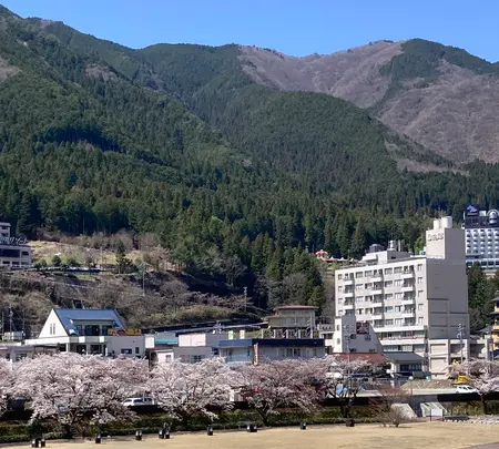 下呂大橋の写真・動画_image_506962