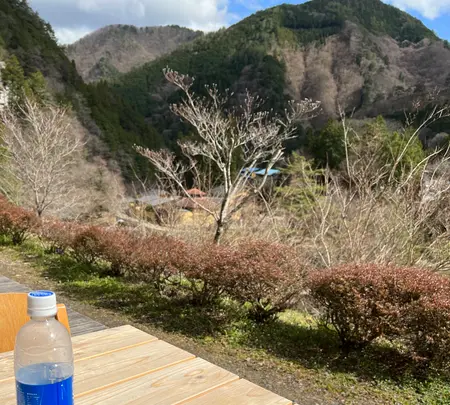 道の駅たばやまの写真・動画_image_506976