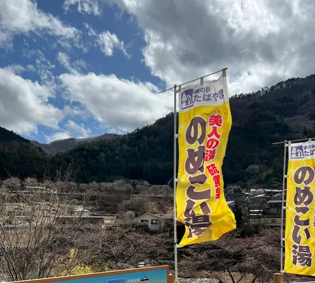 道の駅たばやまの写真・動画_image_506978