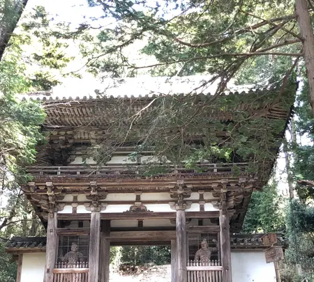 安土城跡の写真・動画_image_507381
